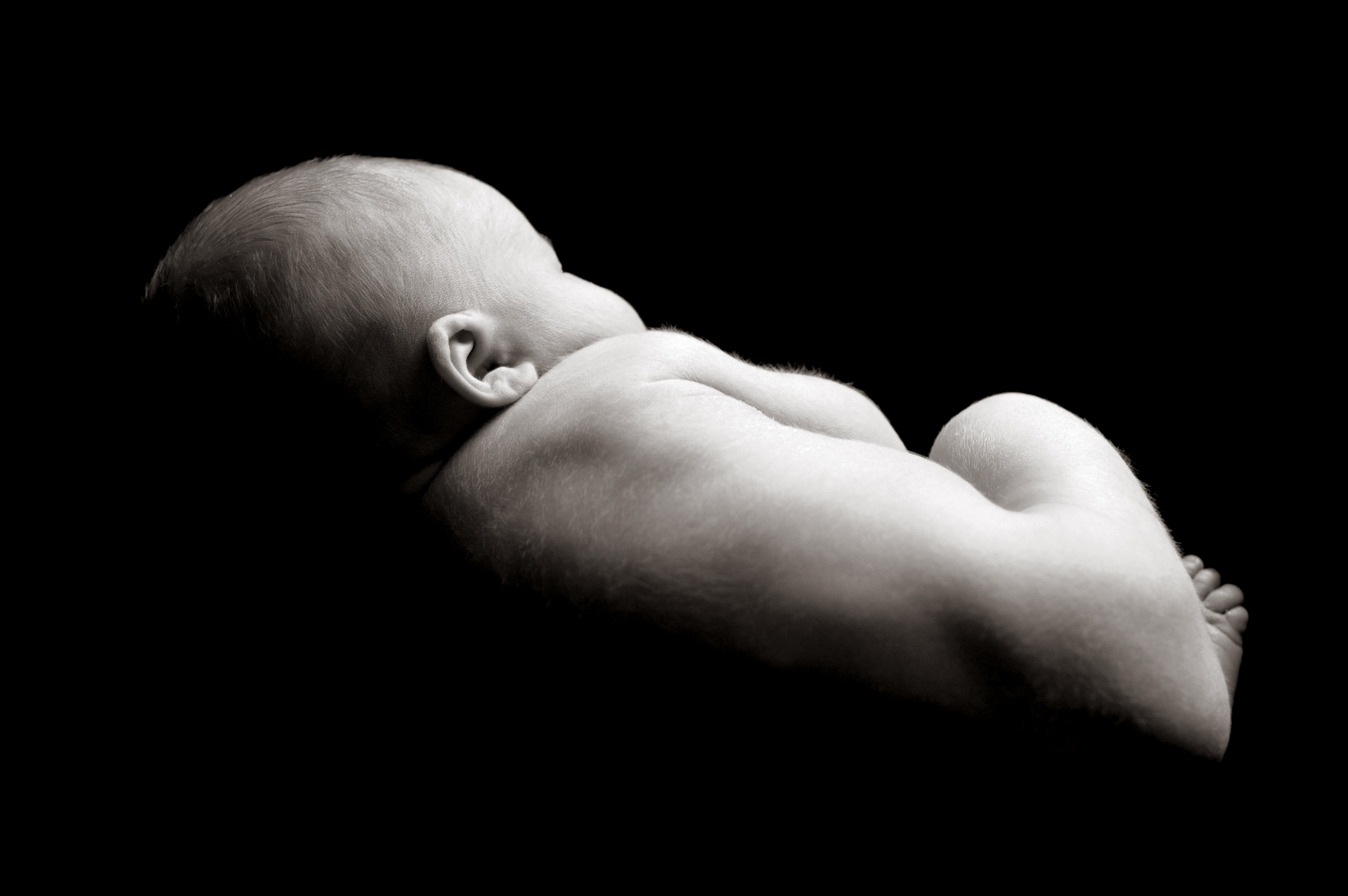 Baby photograph, facing away, black and white